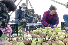 湖北襄阳：“咖啡馆”开到村里 底气在哪里？图片