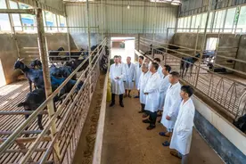 赞，“穷山沟”变“聚宝盆”图片