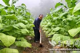 王相银：侍叔如父四十载 身残志坚摘穷帽图片