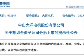 中山大洋电机股份有限公司拟筹划全资子公司分拆上市图片