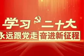 矢志艰苦奋斗 传承陇人品格 | 白银市集中开展少先队标志标识专项检查图片