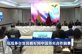 综述：厄瓜多尔各界看好同中国务实合作前景图片