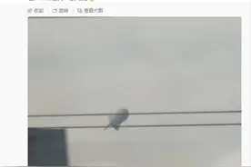 南京空中有艘飞艇！回应来了图片