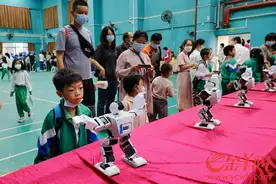 学茶礼、舞醒狮……广州合兴苑小学嘉年华人气爆棚图片