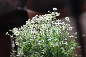 品茶韵人生，享花漾生活——四团镇“听她说”女性成长疗愈沙龙与你相遇图片