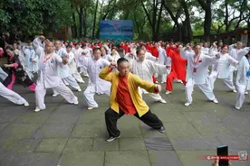 傅清泉导师太极全球行活动在郴州举行图片