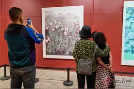47位云南画家带来131幅中国画作在云南美术馆展出图片
