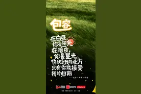 创意海报·母亲节｜每一种母爱，都是爱你的样子图片