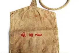 报得三春晖图片