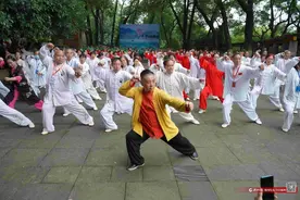 傅清泉导师太极全球行活动在郴州举行图片