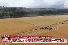科技改变农业！当传统小麦遇上现代机械化收割……图片