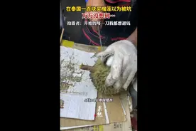 在泰国一百块买榴莲以为被坑，万万没想到……拍摄者：开始的每一刀我都想退钱，是我肤浅了……图片
