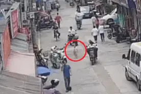 2岁萌娃迷路后，被“公主抱”了一路……图片