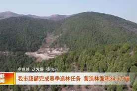5月14日 邯郸新闻早餐（语音版）图片