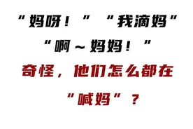 哎 呀 ！我 滴 妈 呀 ！图片