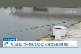 钓一条鱼可兑60万元？“钓客像着魔一样”，86人被抓！图片