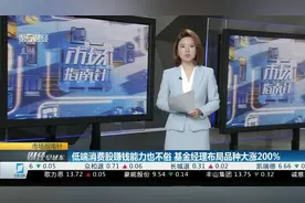 低端消费股赚钱能力也不俗 基金经理布局品种大涨200%视频封面