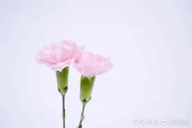 愿天上的母亲安详图片