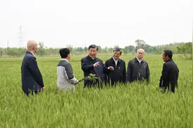 田间地头话发展，习近平总书记一以贯之的调研方法图片