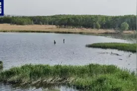 山西严厉打击破坏水生野生动物资源行为图片