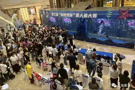 30+“美人鱼”决战南京路！还有一条男“美人鱼”哟图片