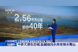 盐碱地污水库→绿水青山！一起来看生态智慧之城十年蝶变图片