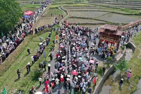 “畅游三江源 尽享渔耕趣”绩溪农耕节开幕图片