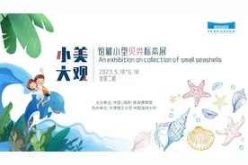 新展预告｜小美大观——馆藏小型贝类标本展图片