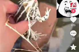 孩子想要水缸里的青蛙，妈妈徒手拿出，他却被吓得哇哇大哭图片