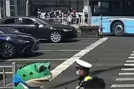 网红“卖崽青蛙”到底做错了什么？可爱的“外表”下也要有守法的心图片