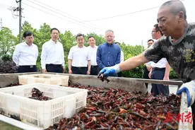 激发文化赋能乡村振兴新活力图片
