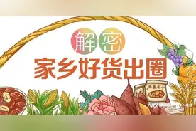 中国“辣椒之王”竟然藏在海南！科技助力“小辣椒”变大产业图片