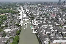 跟着乾隆游临平：李时珍的枇杷，丰子恺的小菜都在这里图片