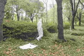蜱虫进入活跃期！专家：蜱虫被咬后切勿生拉硬拽图片