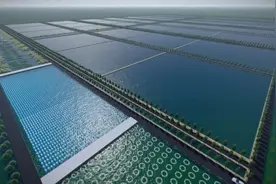 小散鱼塘的“蜕变”之路——宜兴试水国企引领水产养殖园区化经营图片