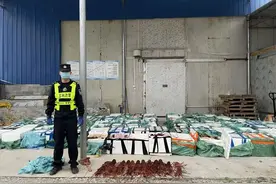 2吨活体龙虾“登陆”百色边境，被警方查获！图片