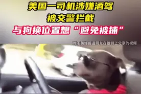美国一司机涉嫌酒驾被交警拦截，与狗换位置想“避免被捕”图片
