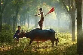 童年的旅行，意义何在？图片