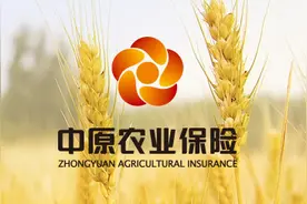 中原农险拟增资至40亿元，河南投资集团将成第一大股东图片