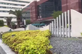 连跑5家医院都碰壁!沪一小伙看个病怎么这么难?图片