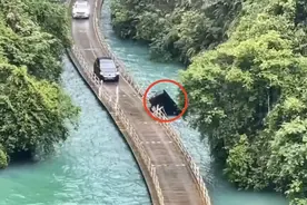 湖北恩施狮子关景区网红水上浮桥发生事故，5人遇难图片