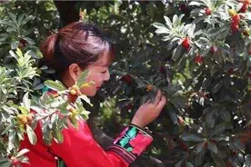 摘果子、逛展览、音乐节……五月剩下的日子，这样过→图片