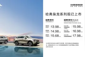 长城汽车孤注一掷，哈弗枭龙低价上市血拼比亚迪宋DM-i图片