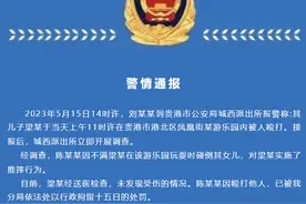 4岁男童在游乐园内遭男子推摔，警方通报【看世界·新闻早知道】图片