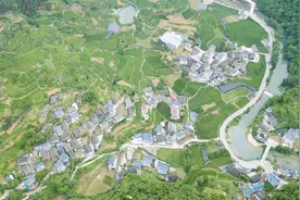 跟着彩虹游吉首③丨在隘口村的千亩茶园，爱上这一口鲜甜图片