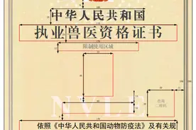 执业兽医资格证书电子证照已开始全国推行图片