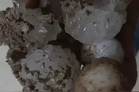 直径似鸡蛋！内蒙古一地出现冰雹天气图片