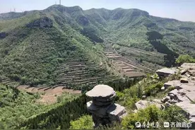 齐鲁美景随手拍|人间五月芳菲尽，夏日山花始盛开图片
