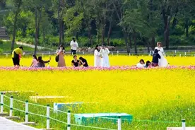 沈阳又又又美出圈了！赶紧来打卡！图片
