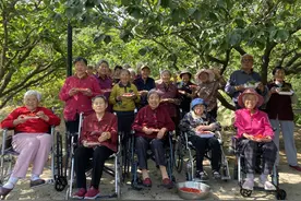 福利院里的小确幸！樱桃采摘正当时，老人们品尝夏日甜蜜图片